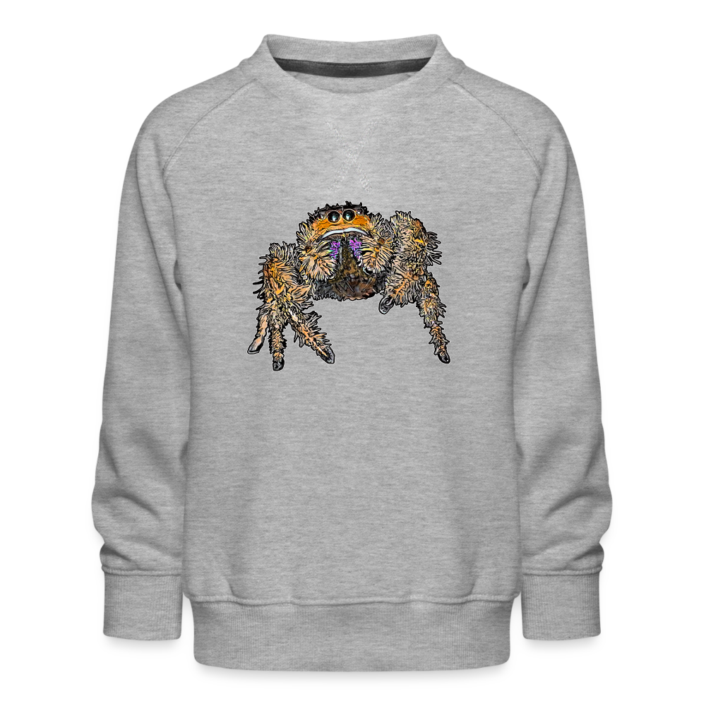 Kinder/ Teenager Pullover Phidippus regius Everglades female - Grau meliert