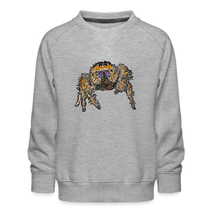 Kinder/ Teenager Pullover Phidippus regius Everglades female - Grau meliert