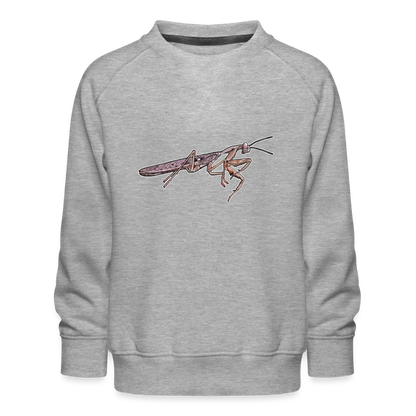 Kinder/ Teenager Pullover Rhombodera kirbyi male - Grau meliert