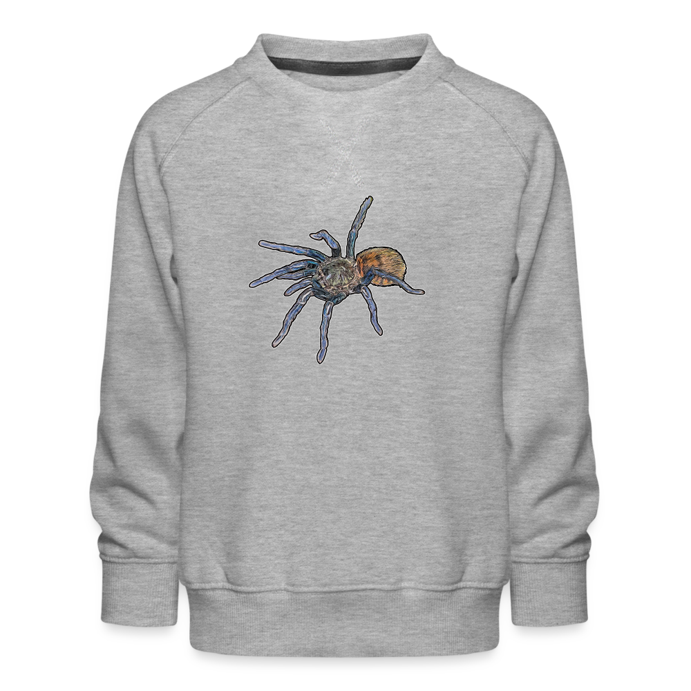 Kinder/ Teenager Pullover Chromatopelma cyaneopubescens - Grau meliert