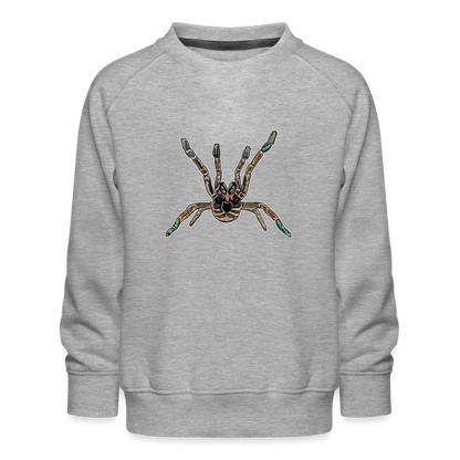 Kinder/ Teenager Pullover Pterinochilus murinus tcf - Grau meliert