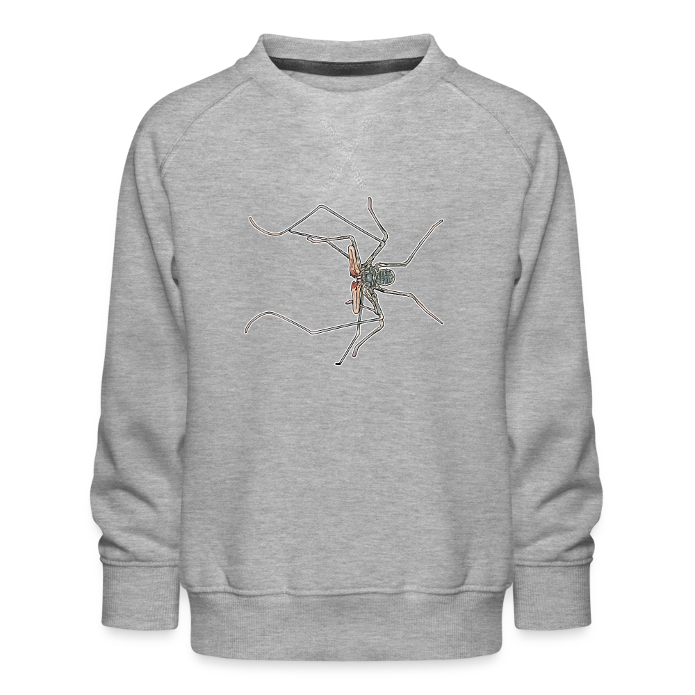 Kinder/ Teenager Pullover Euphrynichus bacillifer - Grau meliert