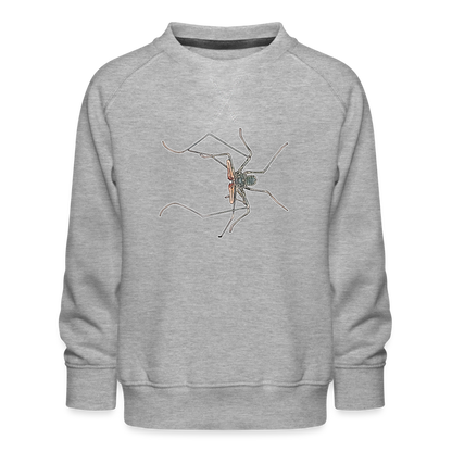 Kinder/ Teenager Pullover Euphrynichus bacillifer - Grau meliert