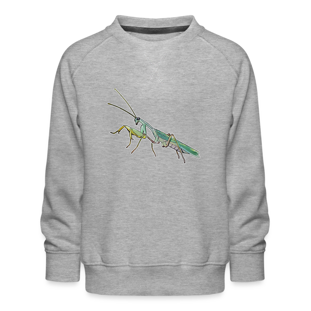 Kinder/ Teenager Pullover Sphodromantis lineola male - Grau meliert