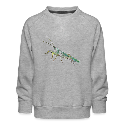 Kinder/ Teenager Pullover Sphodromantis lineola male - Grau meliert