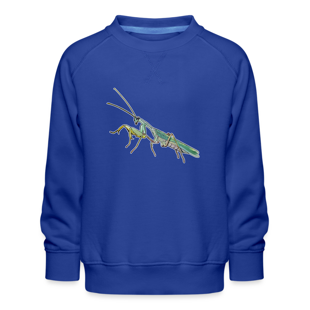 Kinder/ Teenager Pullover Sphodromantis lineola male - Royalblau