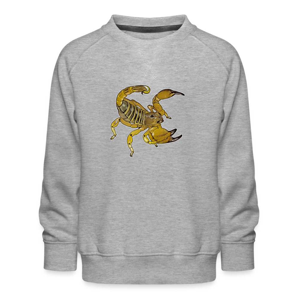 Kinder/ Teenager Pullover Scorpio maurus palmatus - Grau meliert