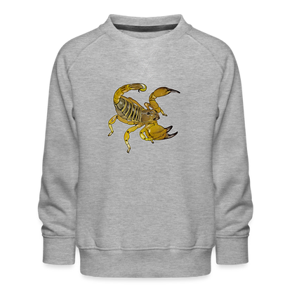 Kinder/ Teenager Pullover Scorpio maurus palmatus - Grau meliert