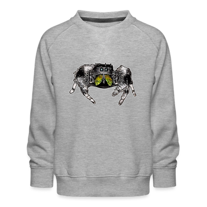 Kinder/ Teenager Pullover Phidippus regius Rastafari male - Grau meliert