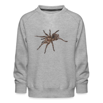 Kinder/ Teenager Pullover Theraphosa stirmi juvenile - Grau meliert