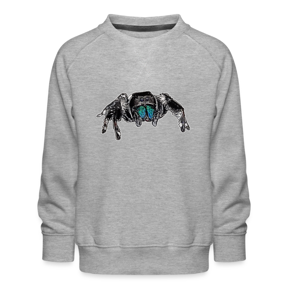 Kinder/ Teenager Pullover Phidippus regius Everglades male - Grau meliert