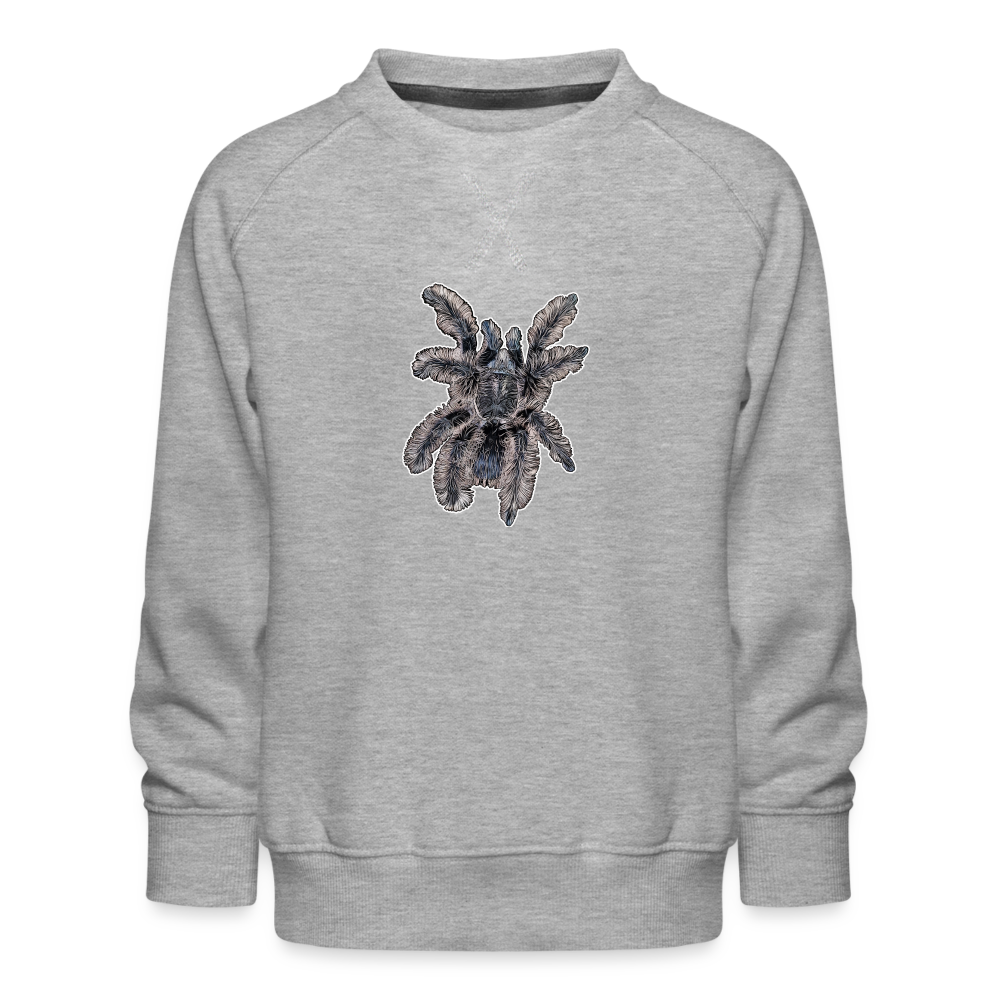 Kinder/ Teenager Pullover Tliltocatl albopilosus - Grau meliert