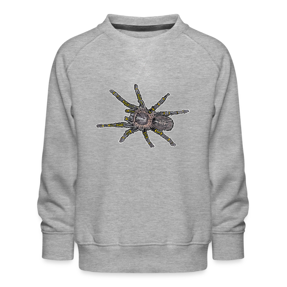 Kinder/ Teenager Pullover Grammostola pulchripes - Grau meliert