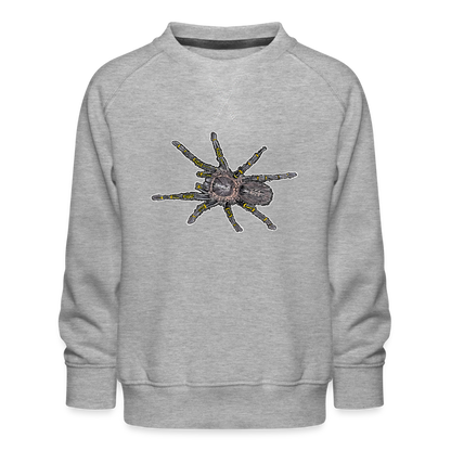 Kinder/ Teenager Pullover Grammostola pulchripes - Grau meliert