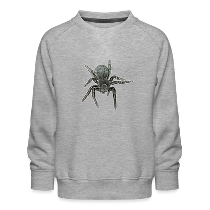 Kinder/ Teenager Pullover Eresus walckenaeri - Grau meliert