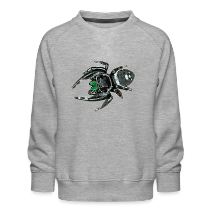 Kinder/ Teenager Pullover Phidippus regius White Bahamas male - Grau meliert