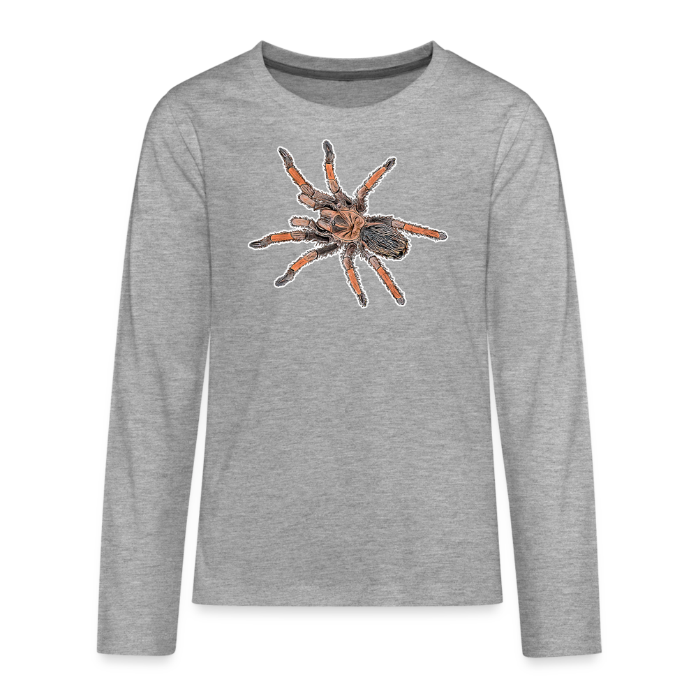 Teenager Longsleeve Brachypelma emilia - Grau meliert