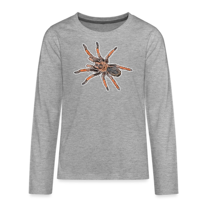 Teenager Longsleeve Brachypelma emilia - Grau meliert