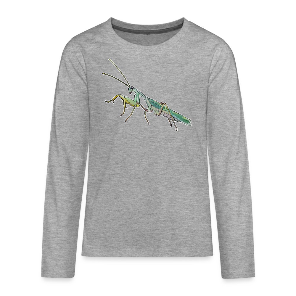 Teenager Longsleeve Sphodromantis lineola male - Grau meliert