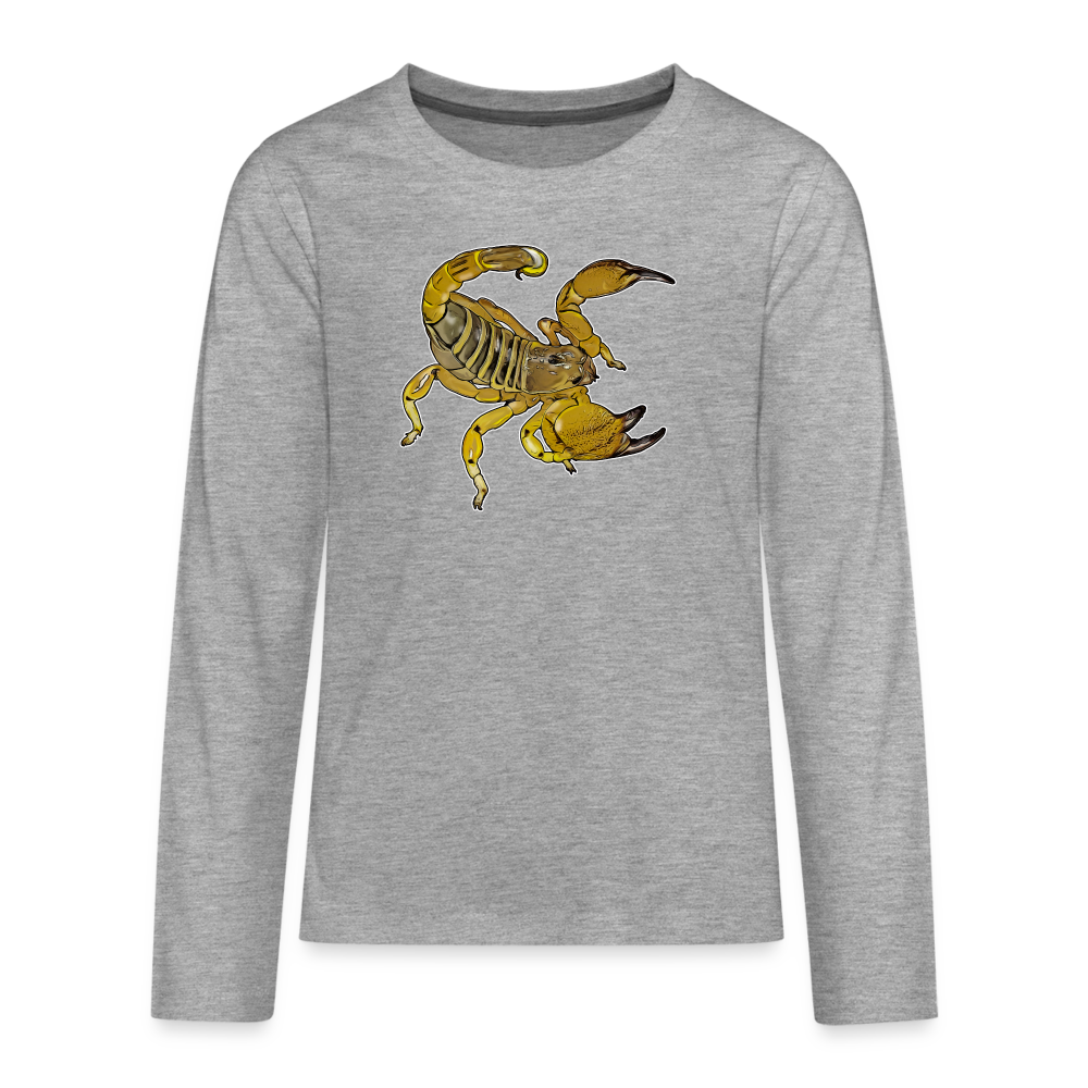 Teenager Scorpio maurus palmatus - Grau meliert