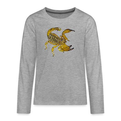 Teenager Scorpio maurus palmatus - Grau meliert