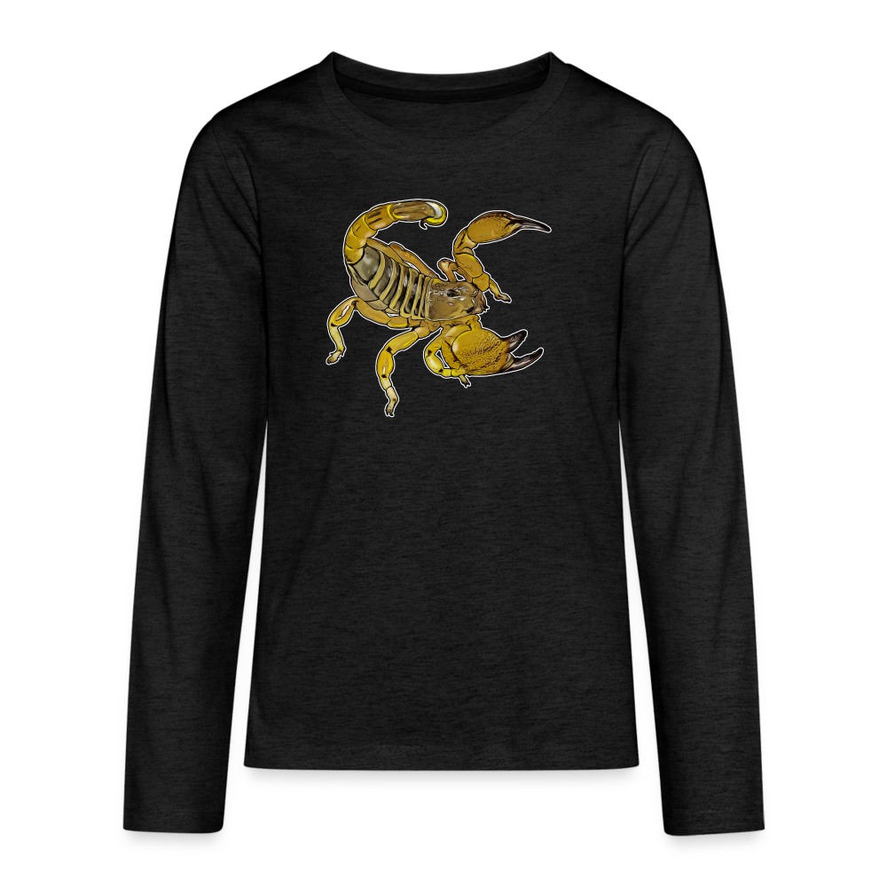 Teenager Scorpio maurus palmatus - Anthrazit