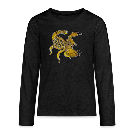 Teenager Scorpio maurus palmatus - Anthrazit