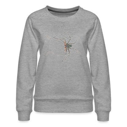 Frauen Pullover Euphrynichus bacillifer - Grau meliert