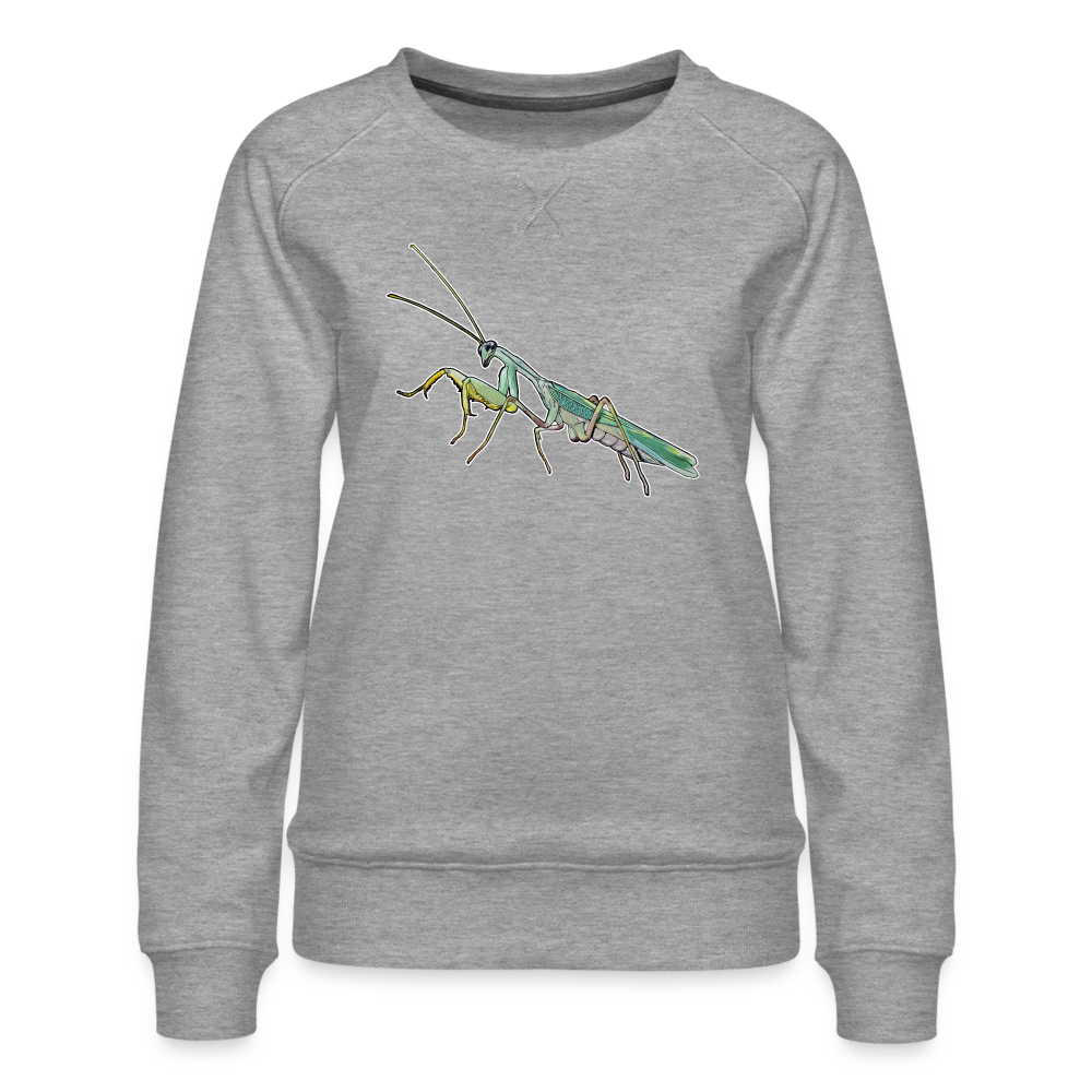 Frauen Pullover Spodromantis lineola male - Grau meliert