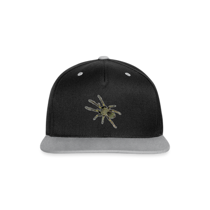 Cappy Kontrast Snapback Ephebopus murinus - Schwarz/Grau