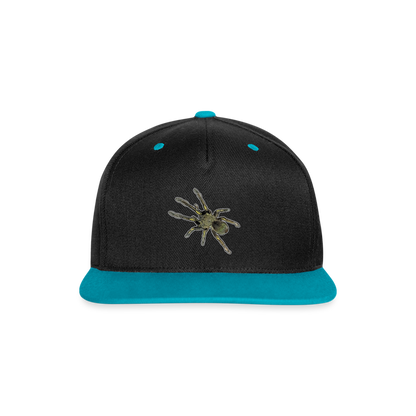 Cappy Kontrast Snapback Ephebopus murinus - Schwarz/Türkis