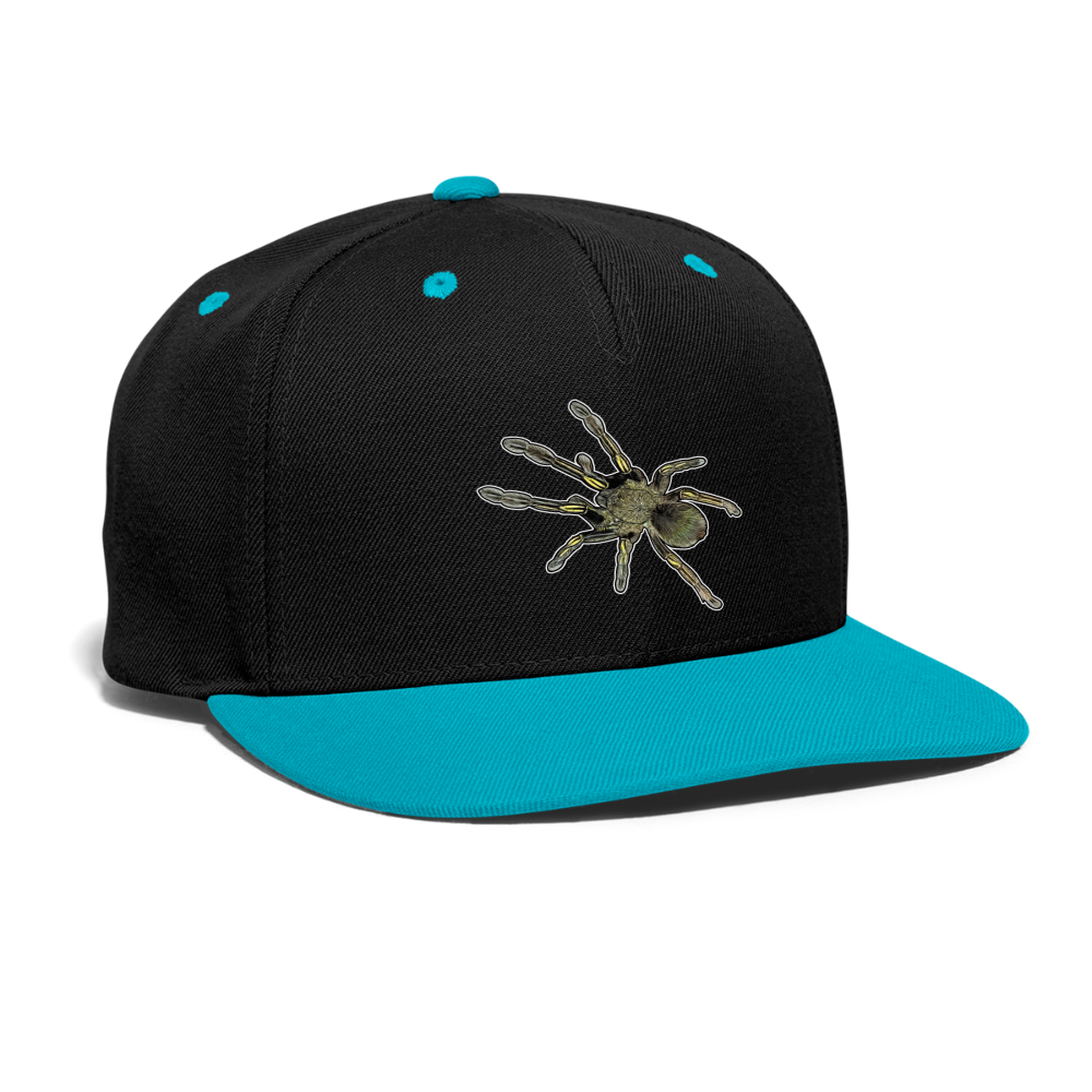 Cappy Kontrast Snapback Ephebopus murinus - Schwarz/Türkis