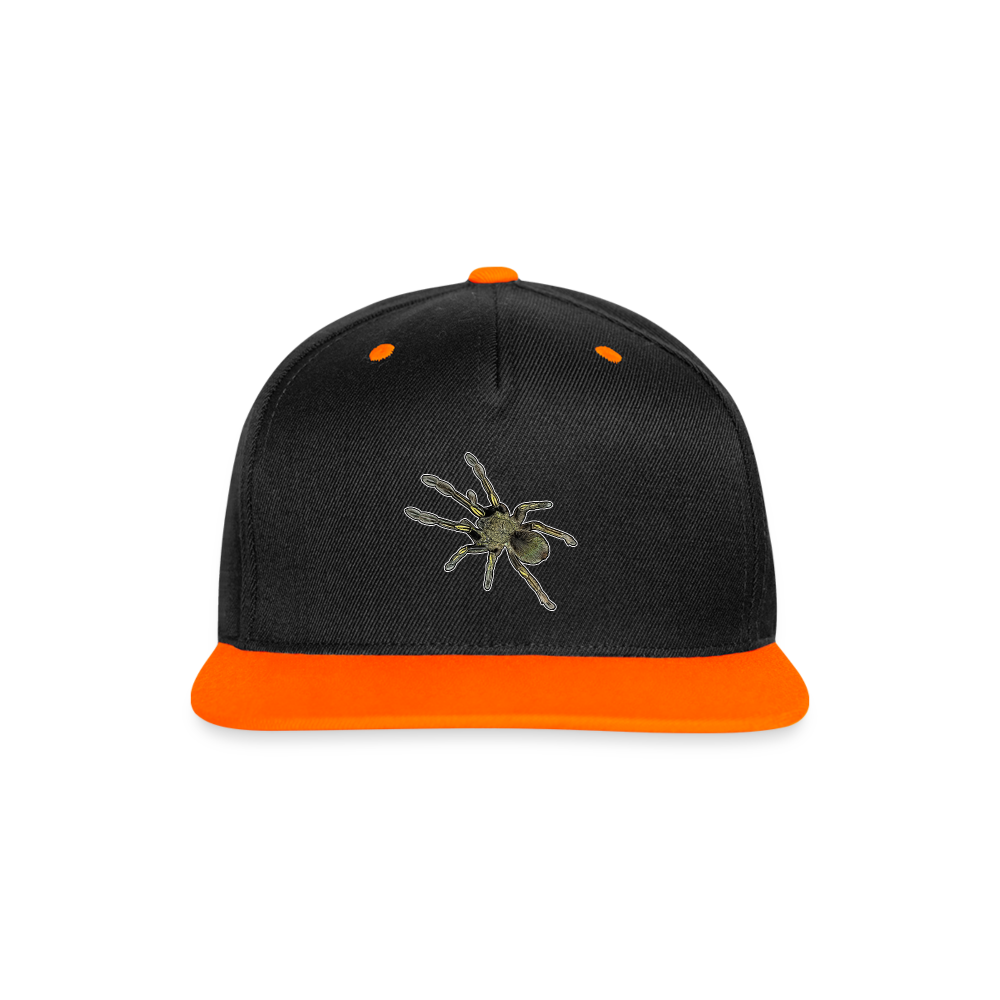 Cappy Kontrast Snapback Ephebopus murinus - Schwarz/Neonorange