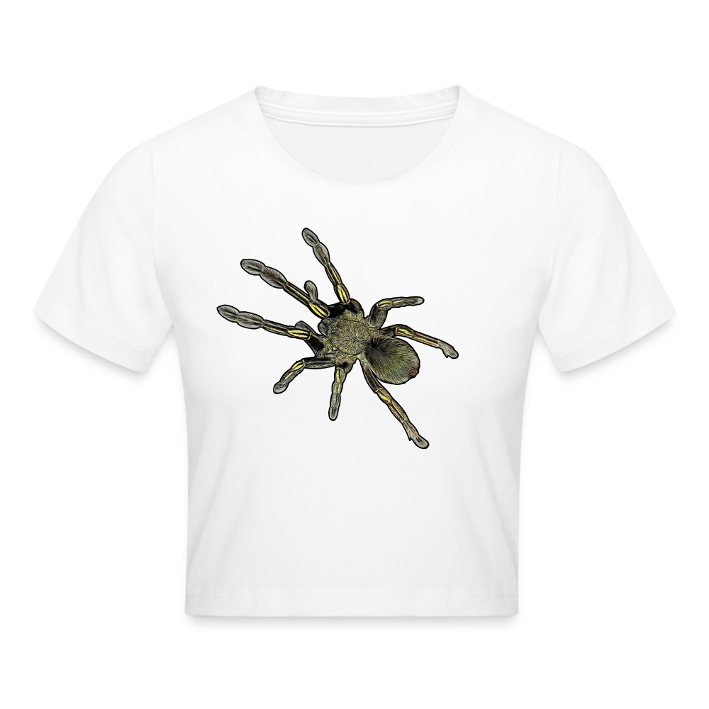 Crop T-Shirt Ephebopus murinus - weiß