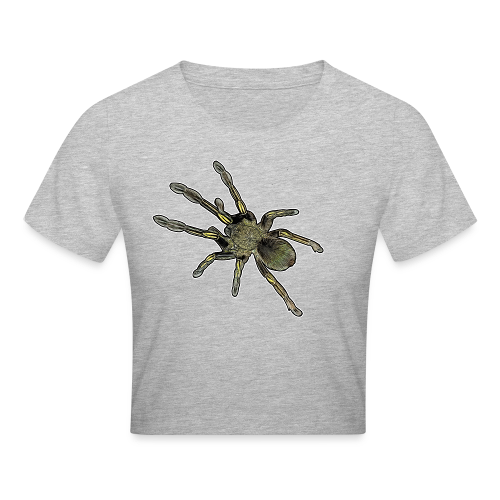 Crop T-Shirt Ephebopus murinus - Grau meliert