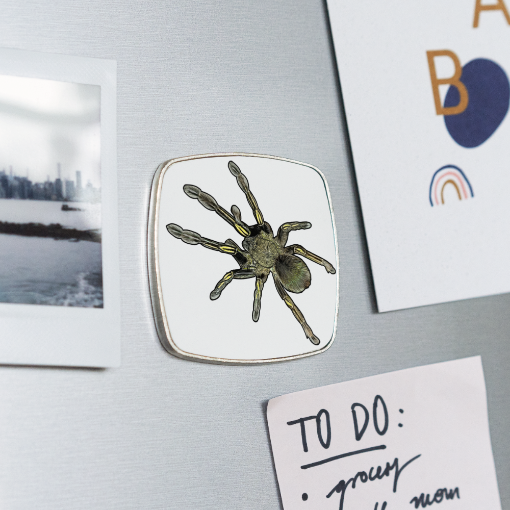 Kühlschrankmagnet eckig Ephebopus murinus - weiß