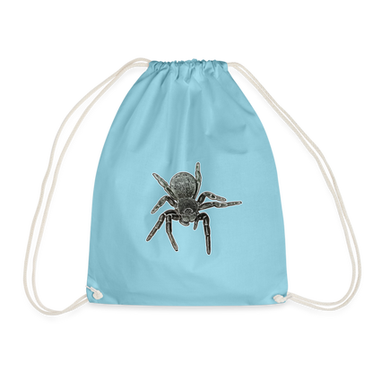 Turnbeutel Eresus walckenaeri - Aqua