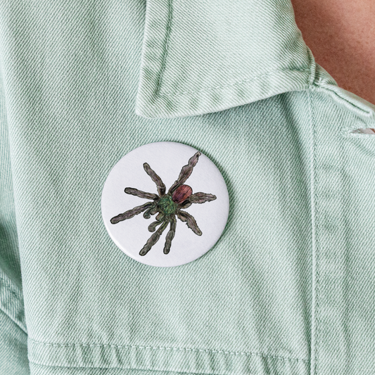 Buttons groß 56 mm (5er Pack) Caribena versicolor - weiß