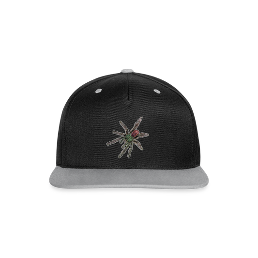 Cappy Kontrast Snapback Caribena versicolor - Schwarz/Grau
