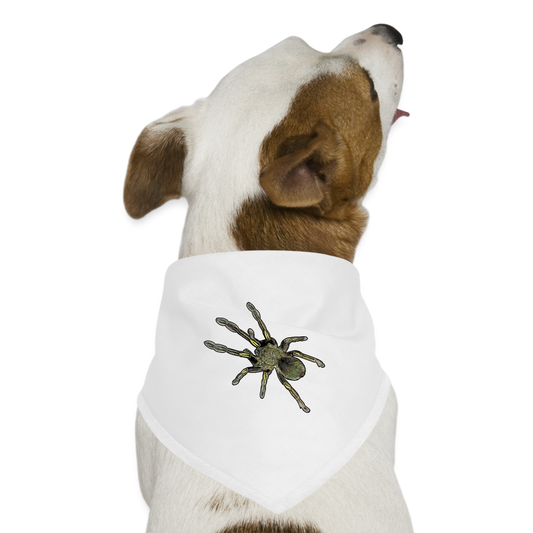 Hunde-Bandana Ephebopus murinus - weiß