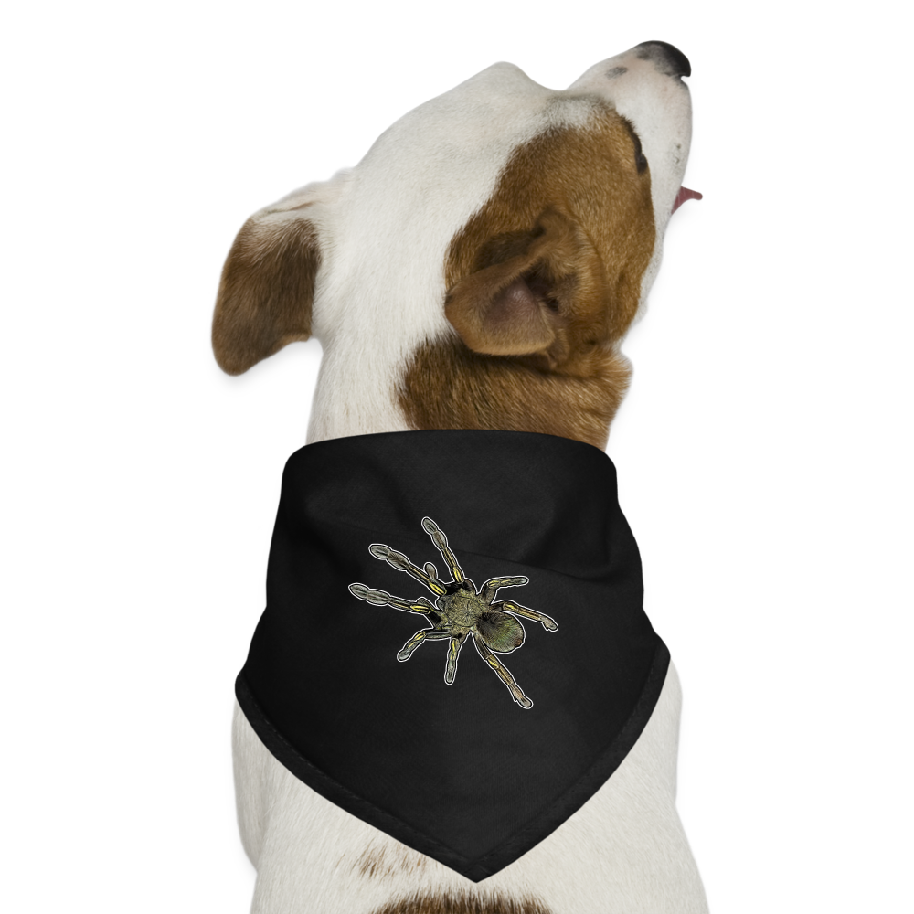 Hunde-Bandana Ephebopus murinus - Schwarz