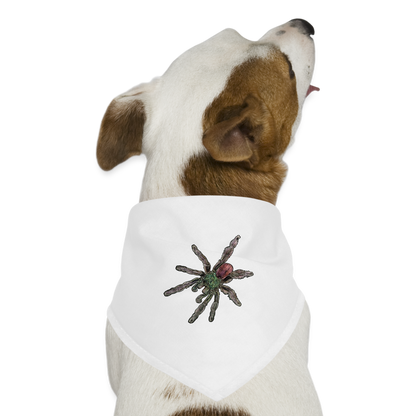 Hunde-Bandana Caribena versicolor - weiß