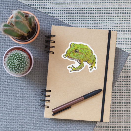 Sticker Ceratophrys cranwelli Peppermint Blue - Mattweiß
