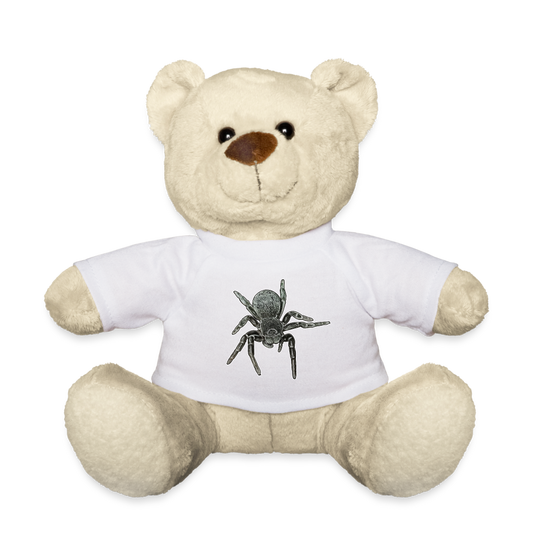 Teddy Eresus walckenaeri - weiß