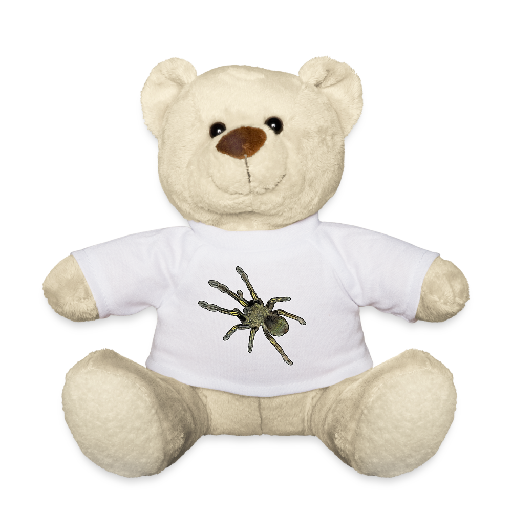 Teddy Ephebopus murinus - weiß