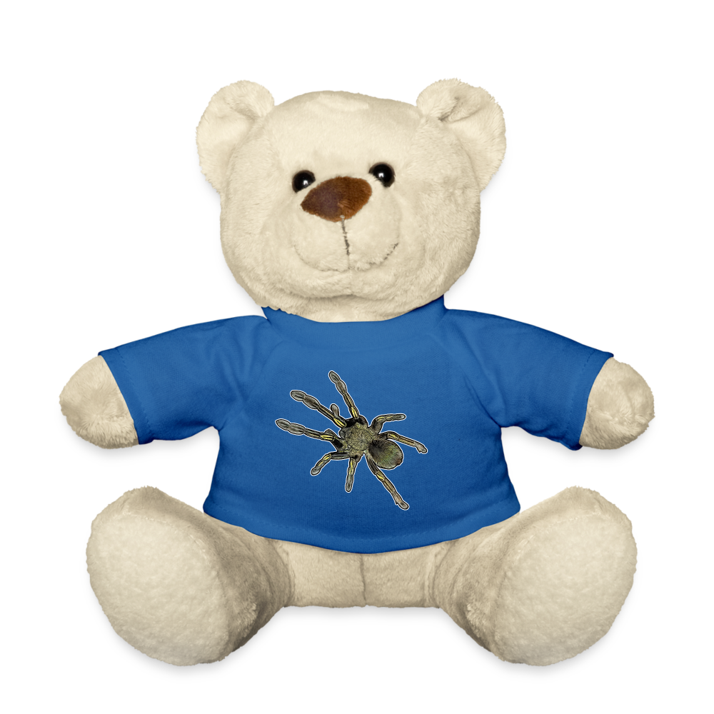Teddy Ephebopus murinus - Königsblau