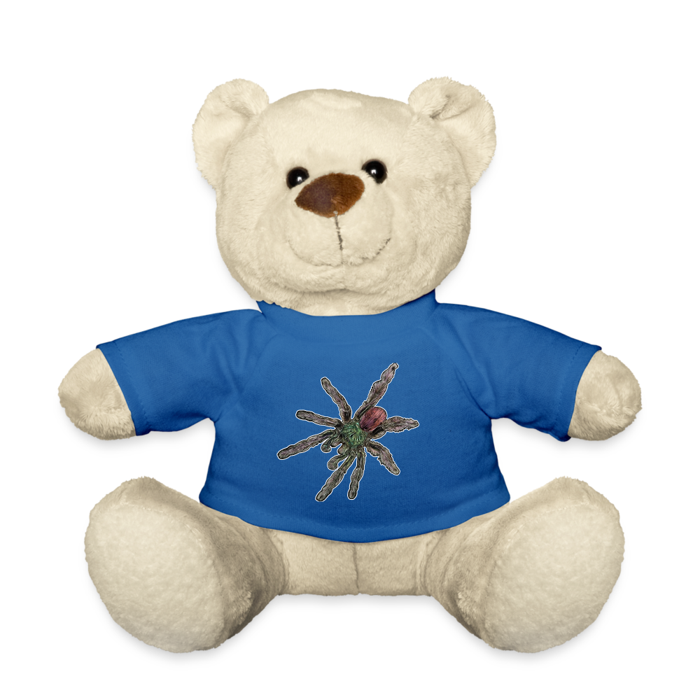 Teddy Caribena versicolor - Königsblau