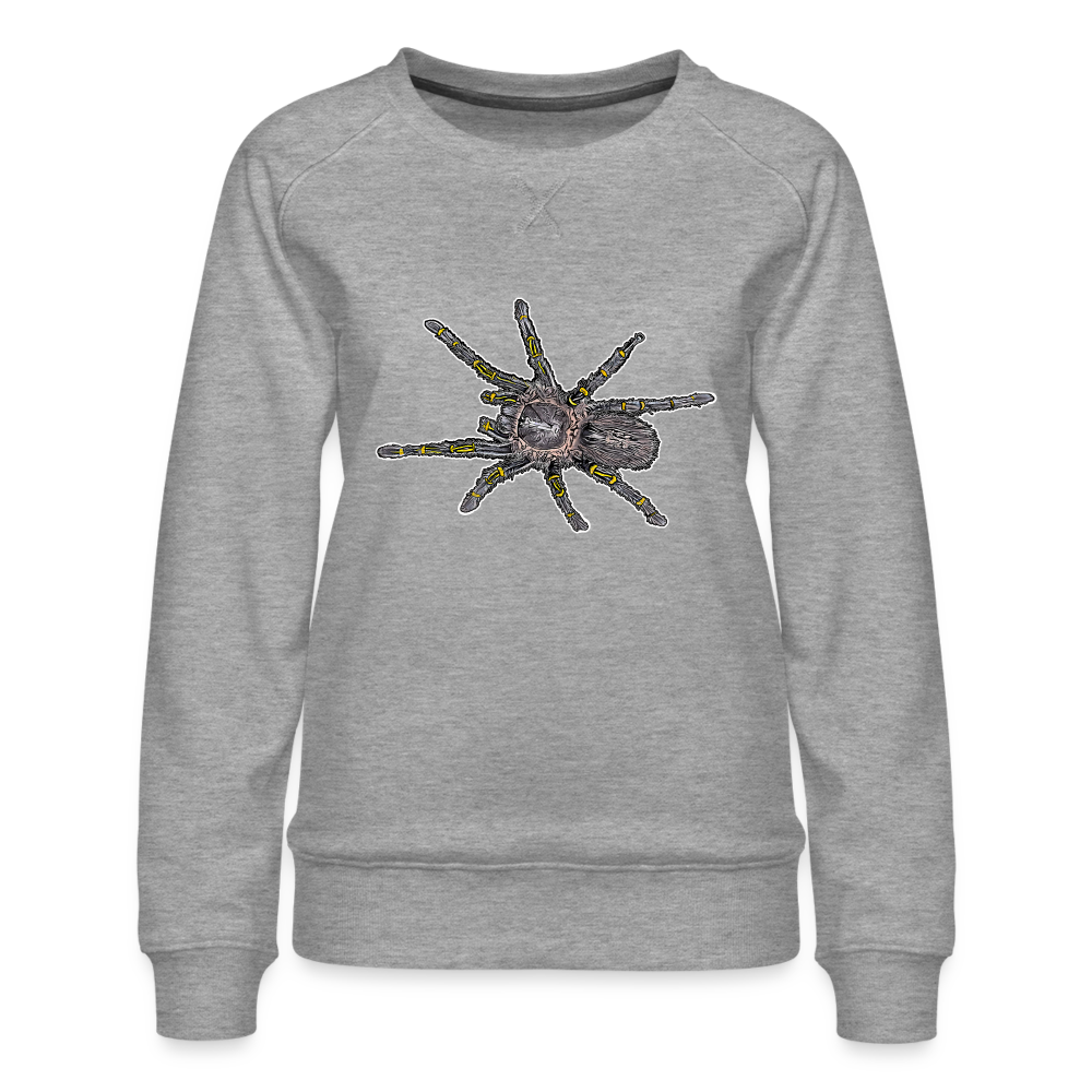 Frauen Pullover Grammostola pulchripes - Grau meliert