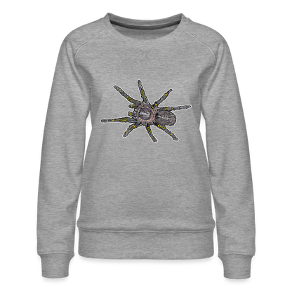 Frauen Pullover Grammostola pulchripes - Grau meliert