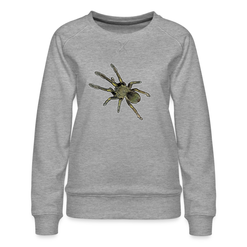 Frauen Pullover Ephebopus murinus - Grau meliert